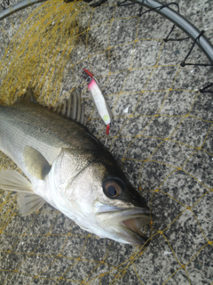 image-20120721204141.png